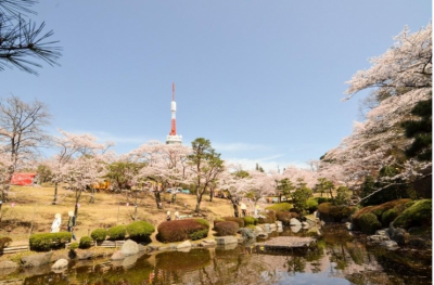 東日本のお花見まとめ まいぷれプラス